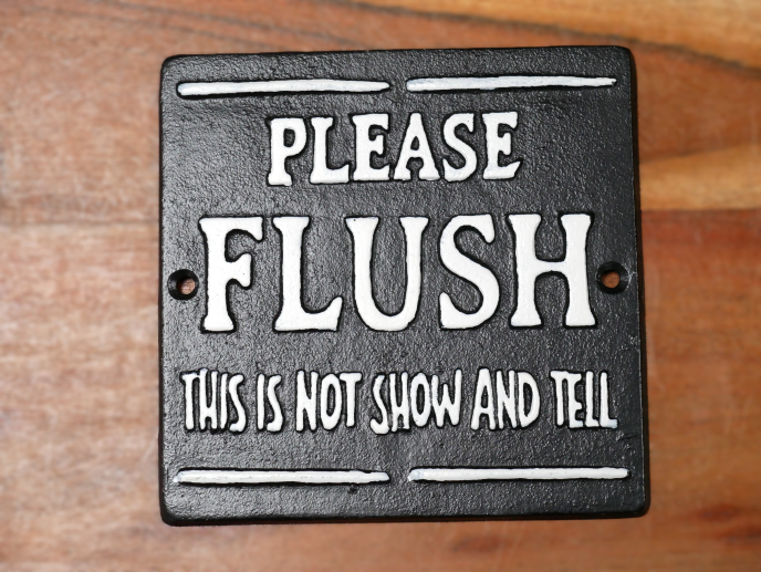 Cast Iron Please Flush Bathroom Wall Sign