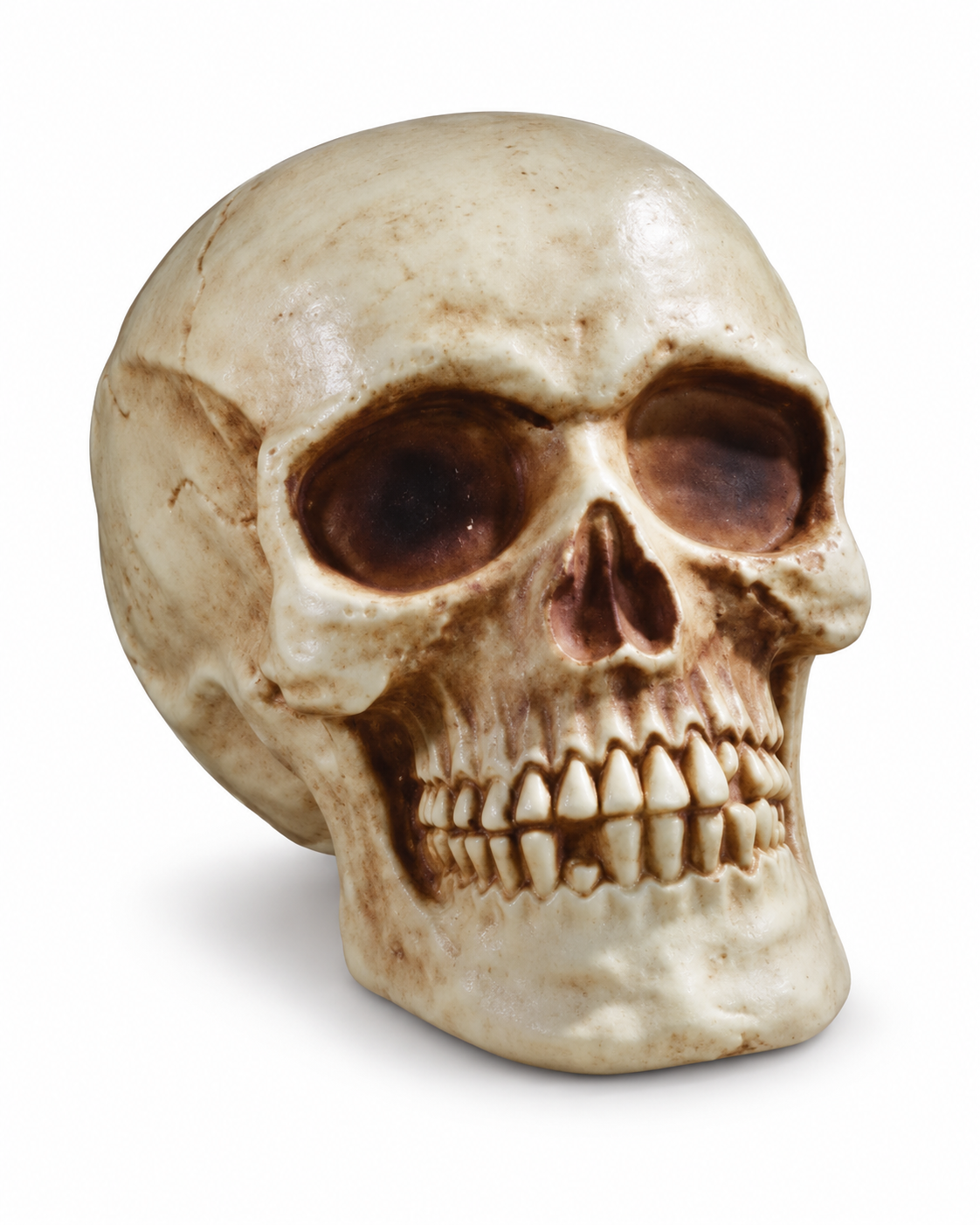 7-Inch Moulded Halloween Skull Decoration