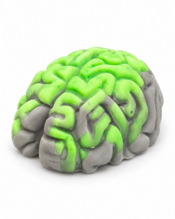 Brain-Shaped Scented Wax Melt