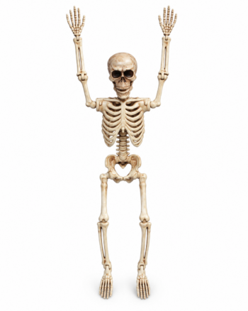35cm Poseable Halloween Skeleton