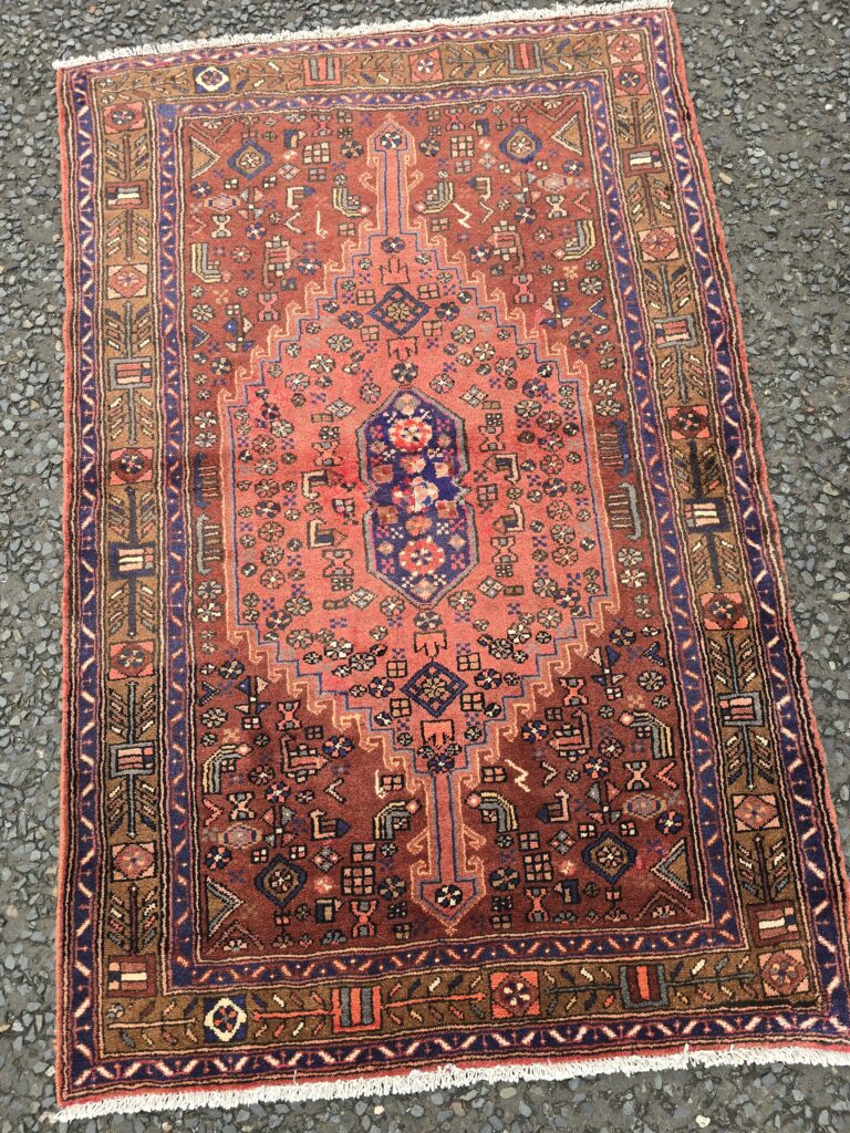 Terracotta Persian Hamadan Hand Woven Medallion Wool Rug - JRJ11