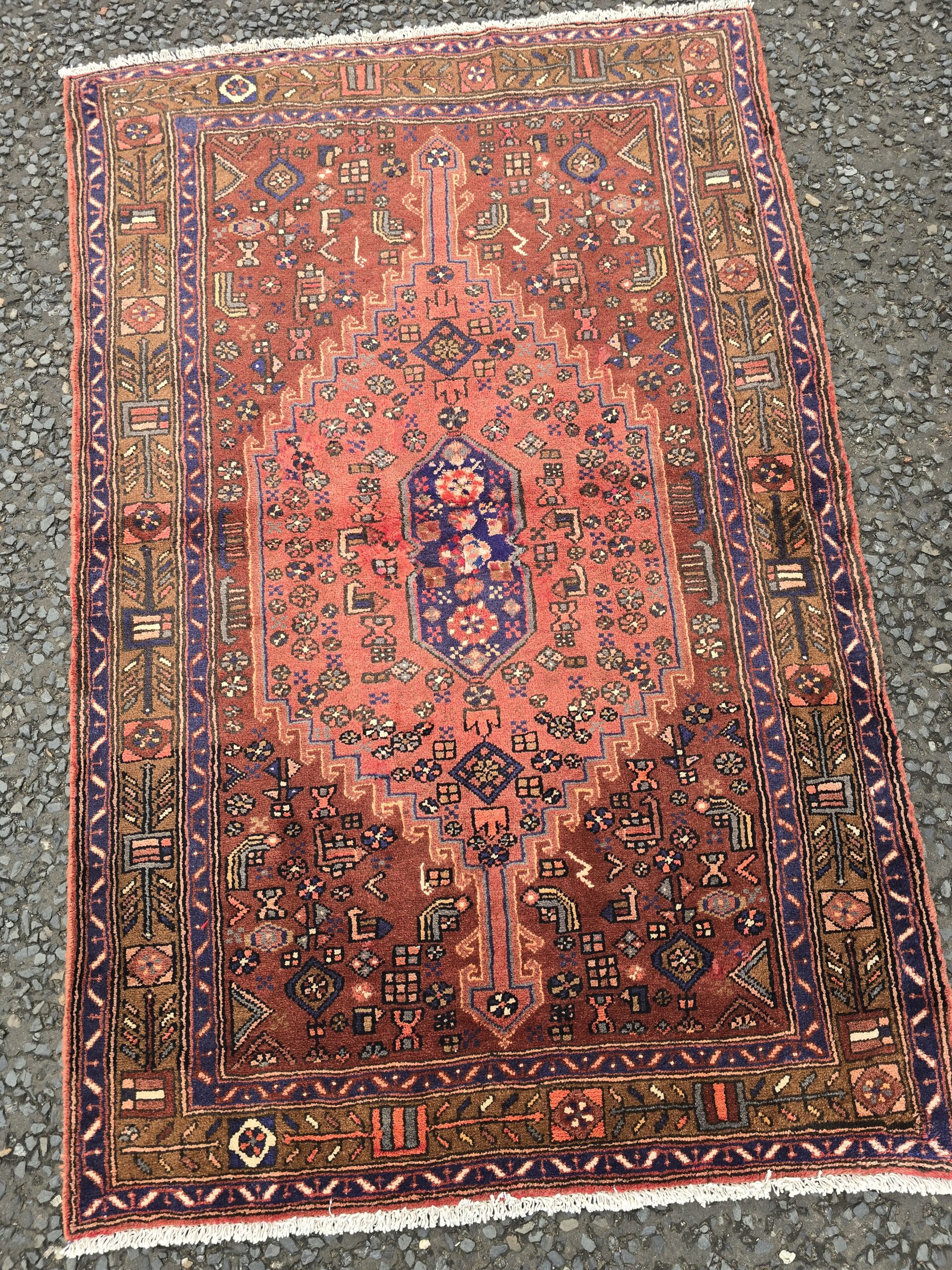 Terracotta Persian Hamadan Hand Woven Medallion Wool Rug – JRJ11