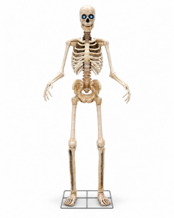 Giant 2.5m Animated Halloween Skeleton with Blue Eyes