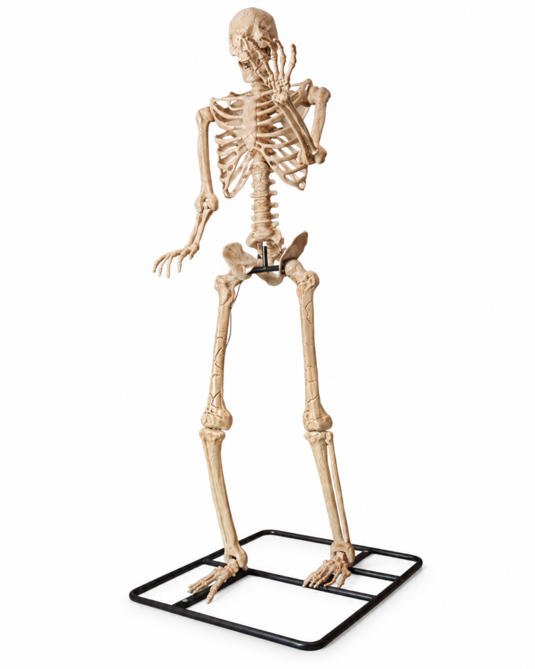 Giant 3.2m Halloween Skeleton with Light-Up Eyes