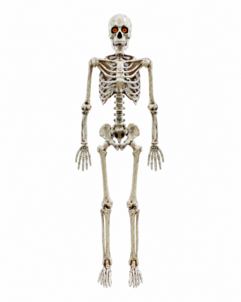 Tall Halloween Poseable Skeleton with Light Up Eyes