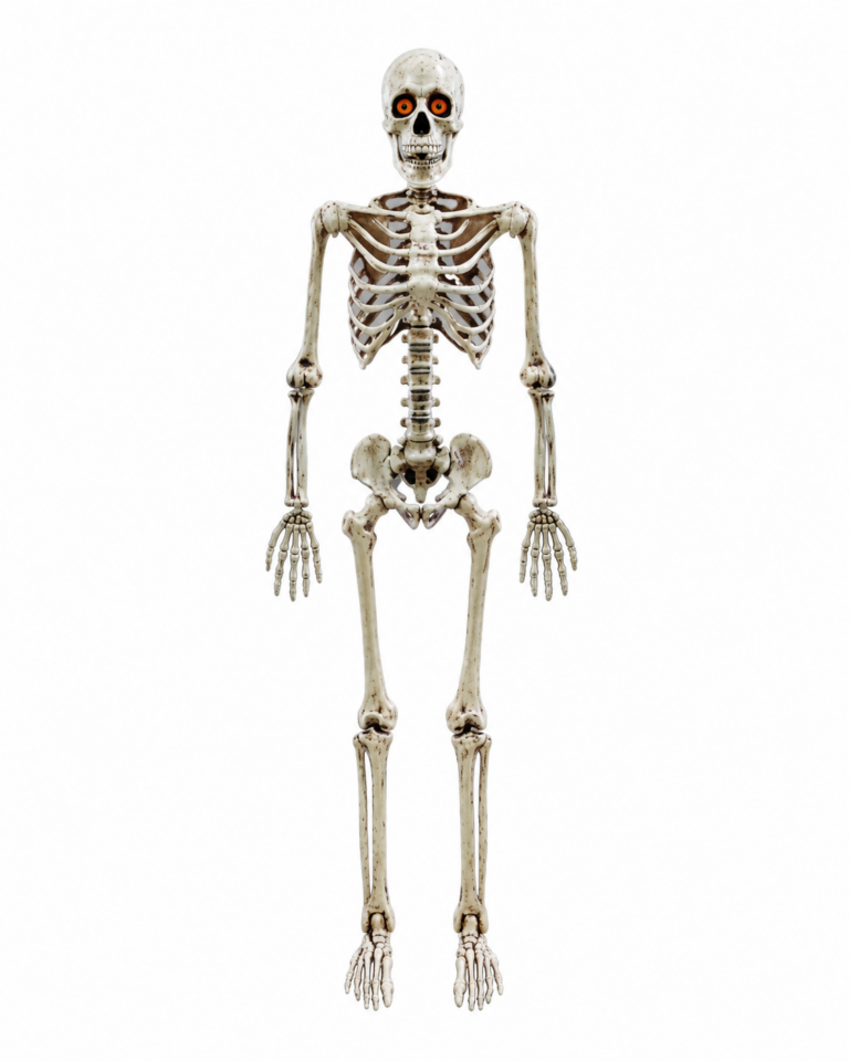 Tall Halloween Poseable Skeleton with Light Up Eyes