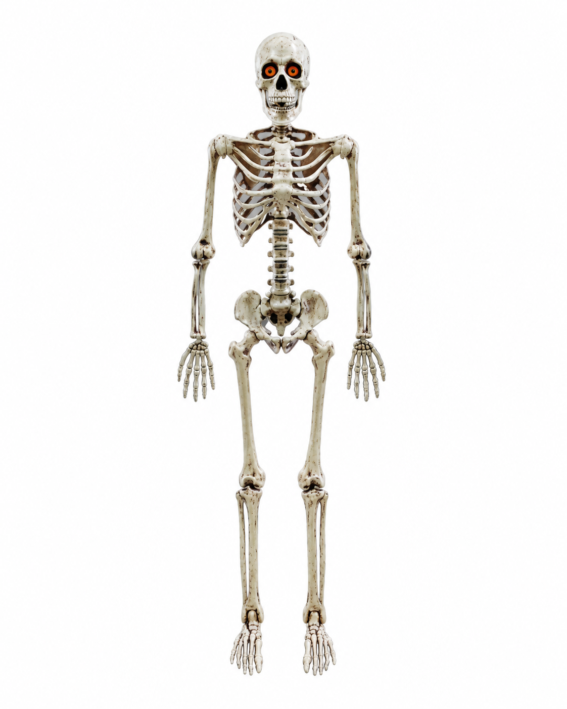 Tall Halloween Poseable Skeleton with Light Up Eyes