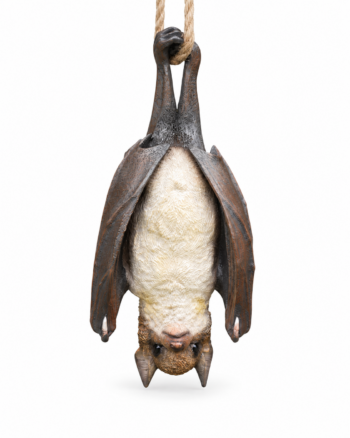 Novelty Hanging Bat Decorative Figure with Rope Hanger