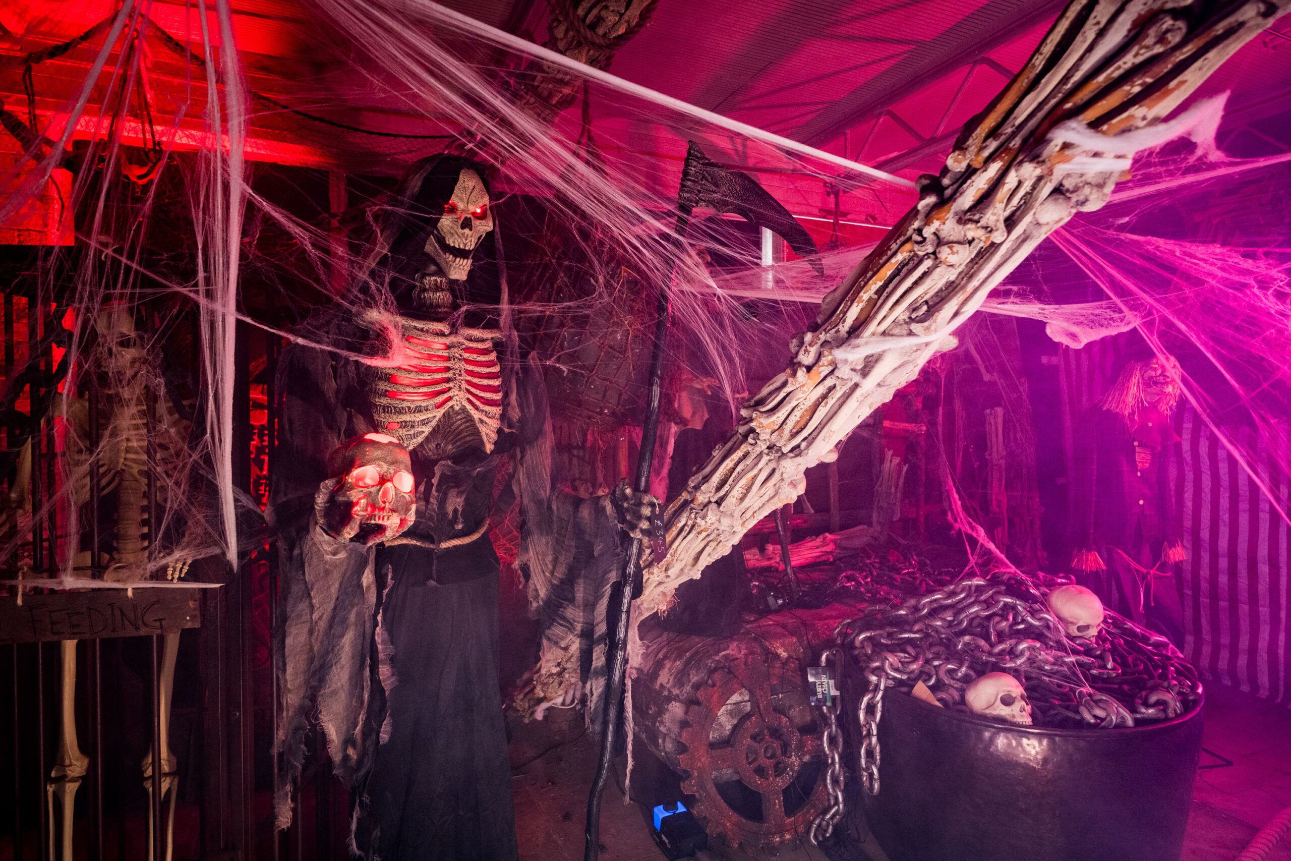 Halloween fun in Bangor: visit the On the Skull Emporium